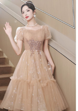 Elegant Summer Fairy Embroidered Dress - - dress
