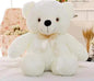 Plush Toy Glowing Bear Kia Day Design