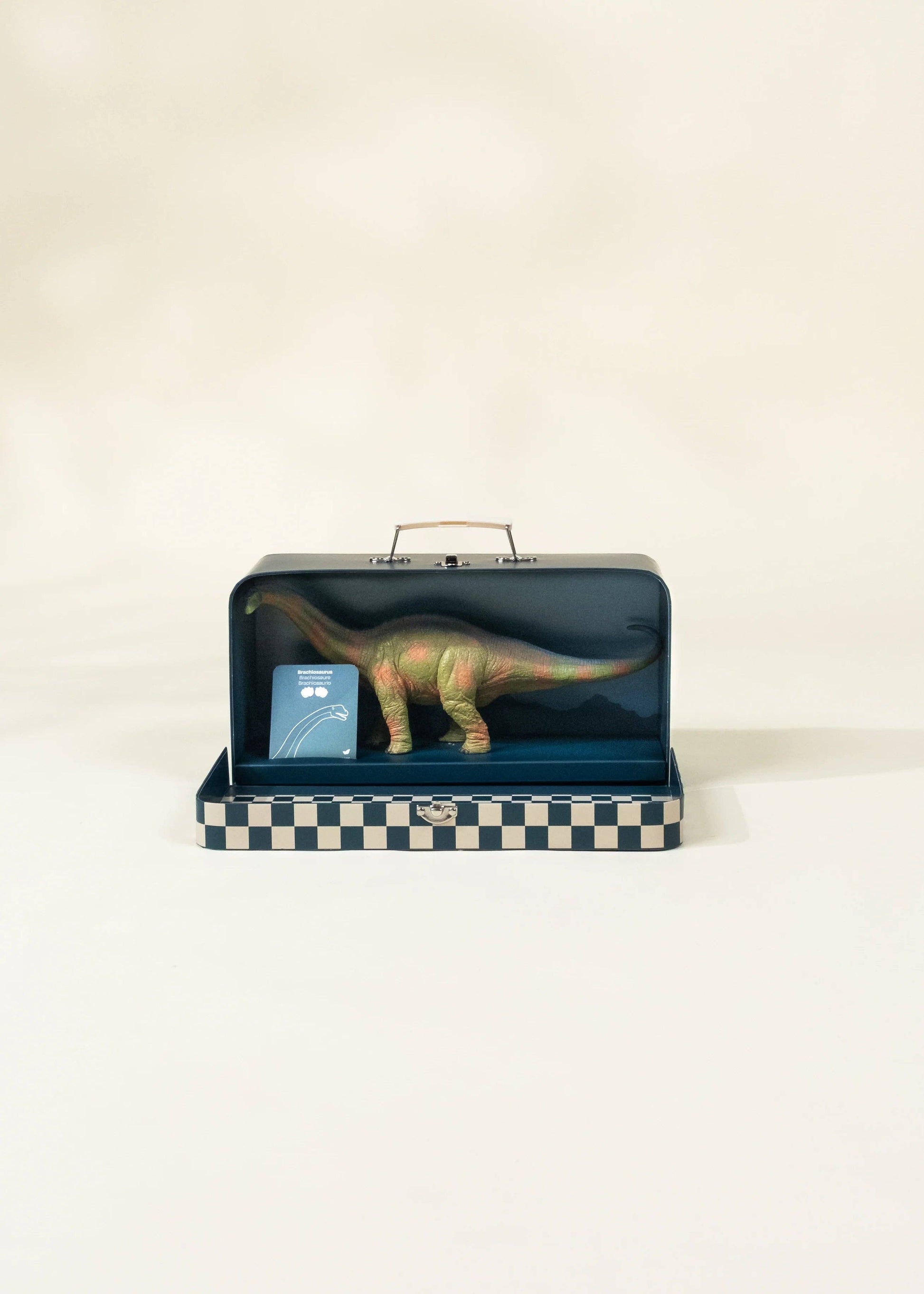 Brachiosaurus Dinosaur in a Collectible Box - -
