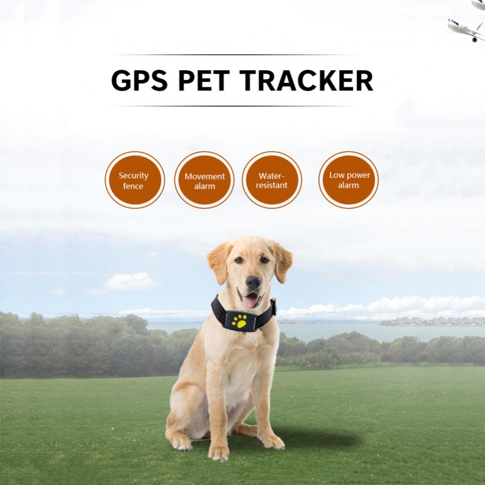 Pet GPS Tracker Collar - - collar