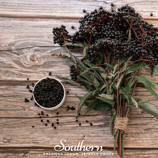Dried Elderberry – 1 cups - - dried berry