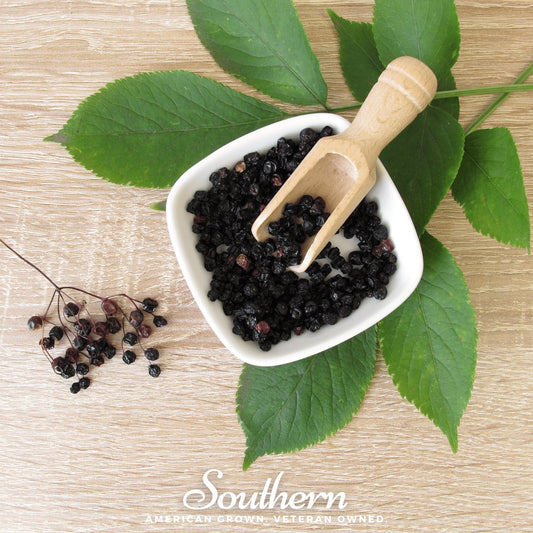 Dried Elderberry – 1 cups - - dried berry