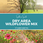 Dry Area Wildflower Seed Mix 18 Varieties – 1,000 Seeds - - Seeds