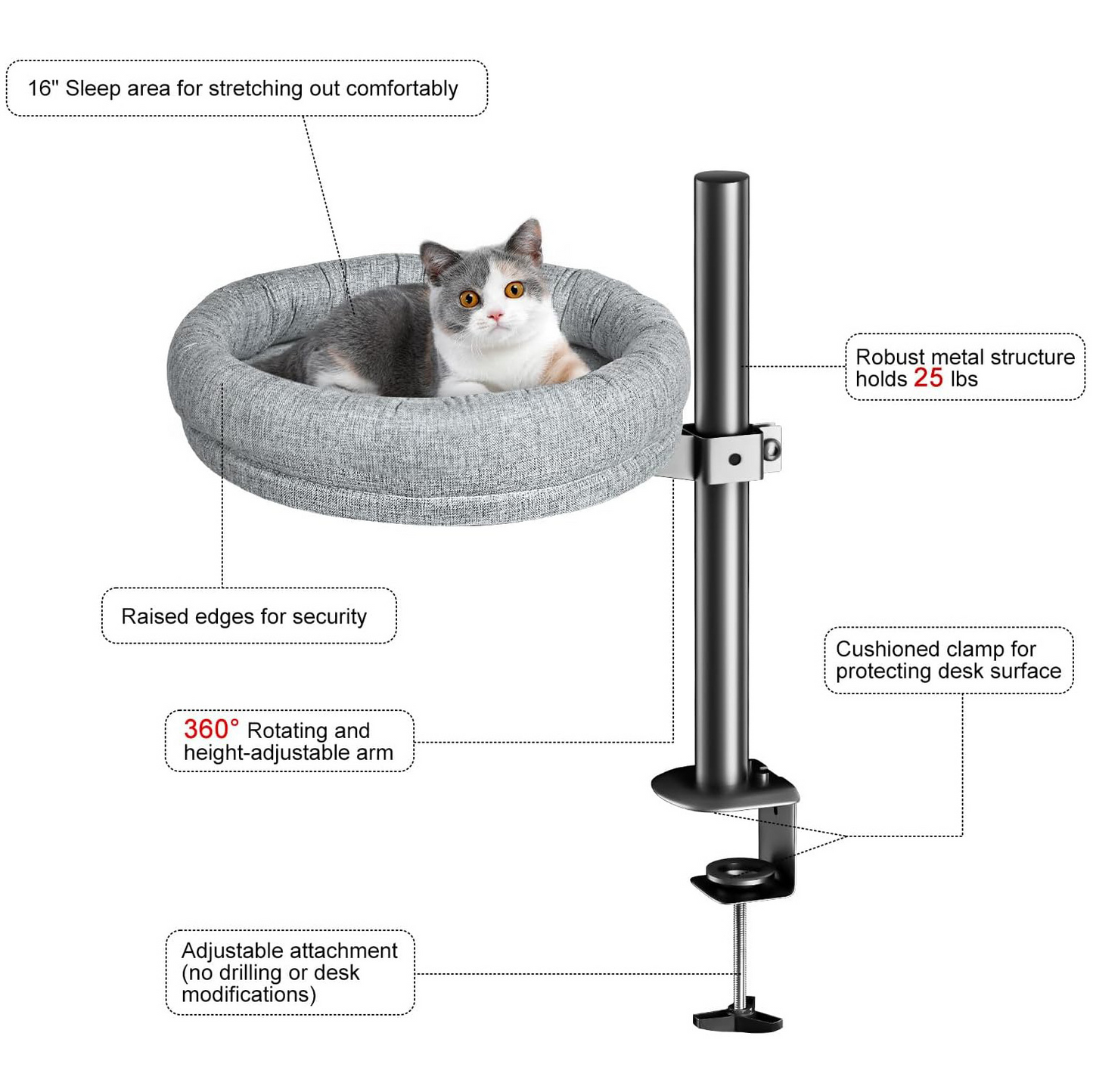 Cat Cozy Spin Bed - - Pet bed