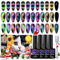 YEPYEPGO 9D Cat Eye Gel Nail Polish Set 12 Colors Cat Eye Gel Polish with Magnet - X9D-SET - gel polish