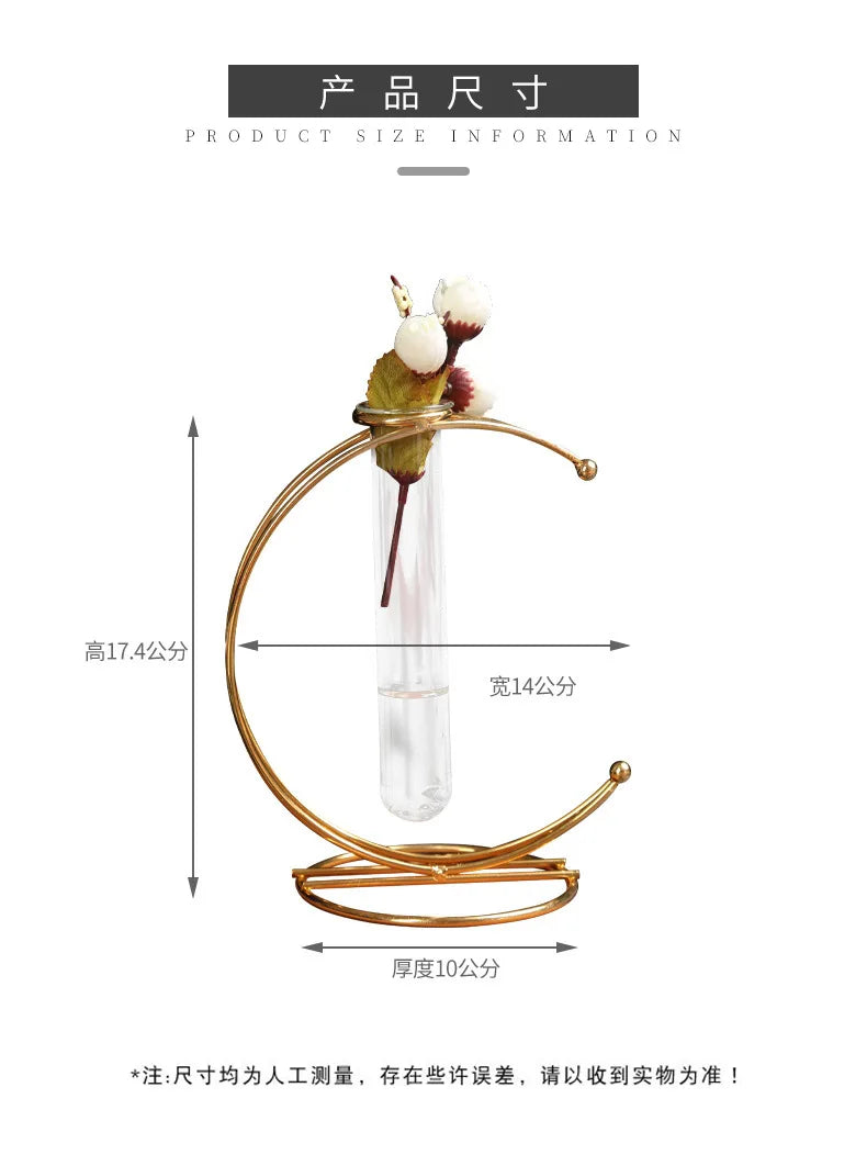 Moon Shaped Iron Hanging Stand Rack Holder With Glass Tube Decorative Vase