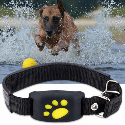 Pet GPS Tracker Collar - - collar