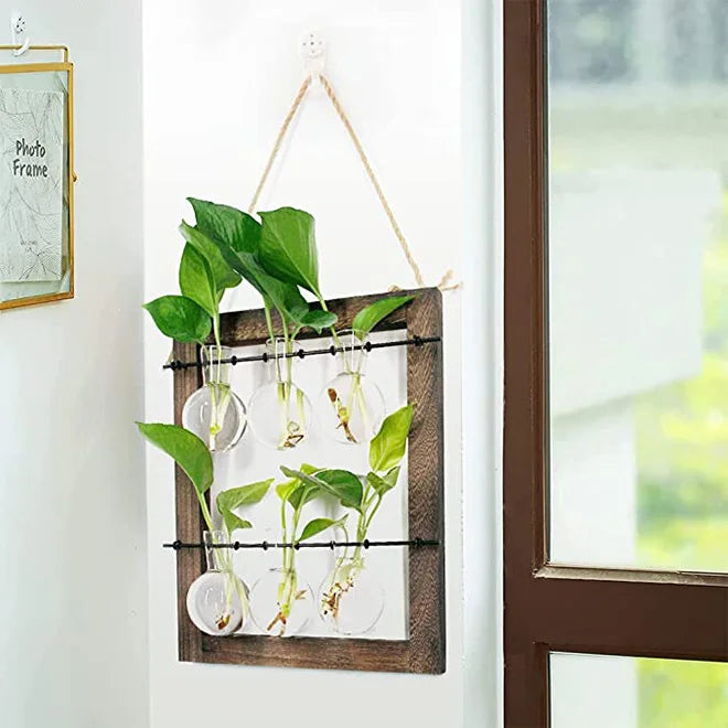 Double Layer Wall Hanging Glass Propagate Station With 6 Bulbs for Plants