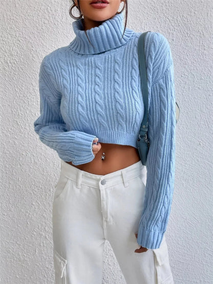 Cable-Knit Turtleneck Long Sleeve Sweater - -