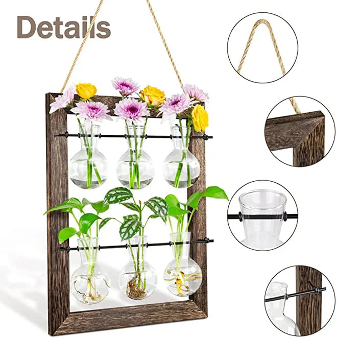 Double Layer Wall Hanging Glass Propagate Station With 6 Bulbs for Plants