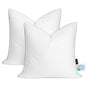 Set of 2 Down and Feather Throw Pillow Inserts - 22x22 Inch - pillow