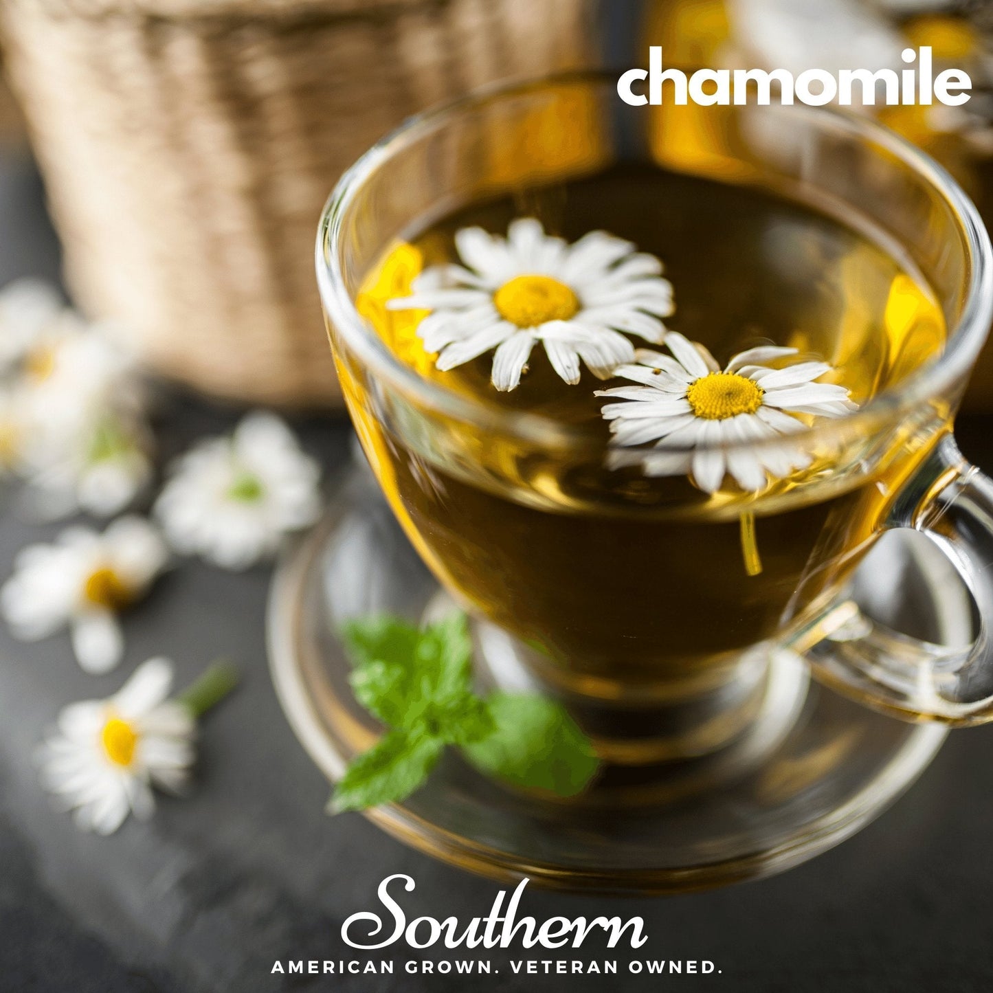 Herbal Tea Seed Collection – 6 Varieties - - Seeds