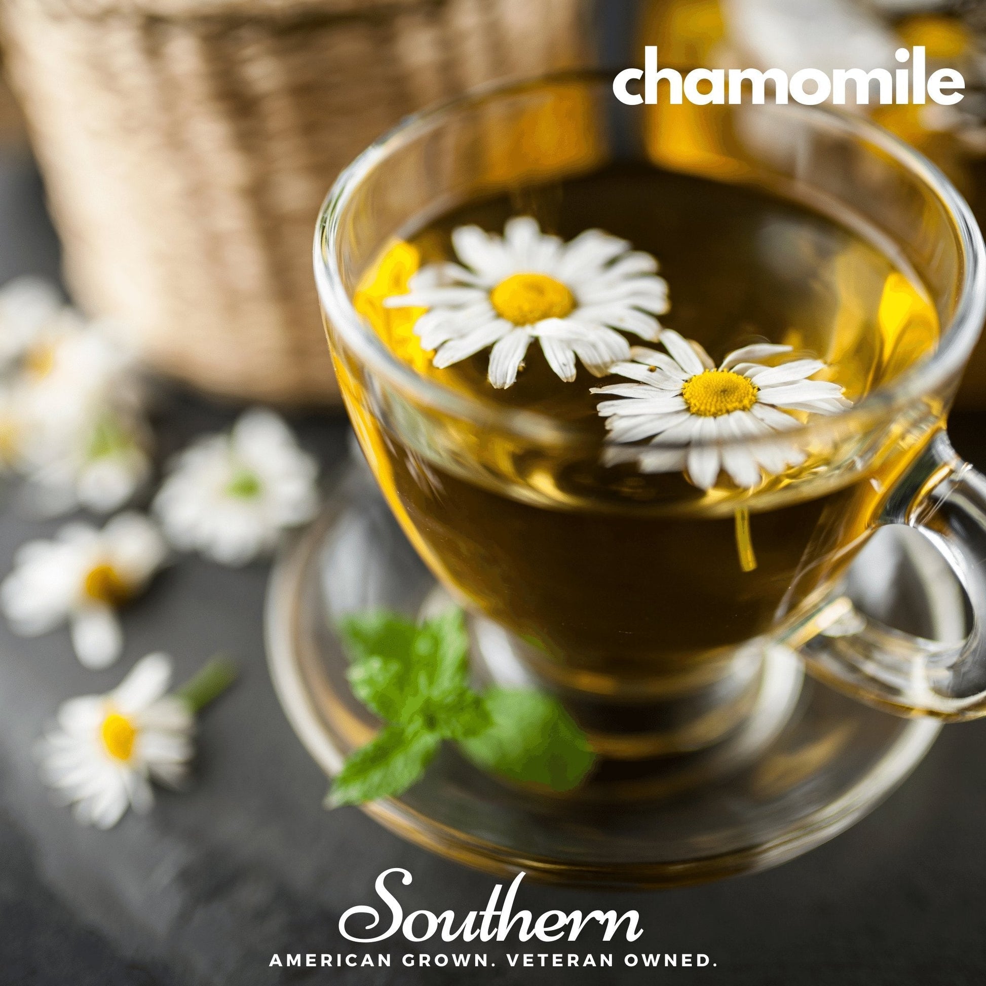 Herbal Tea Seed Collection – 6 Varieties - - Seeds