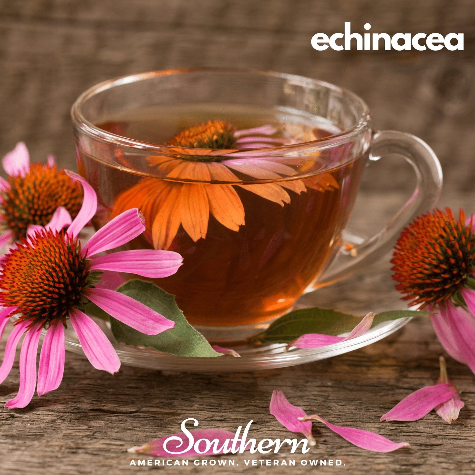 Herbal Tea Seed Collection – 6 Varieties - - Seeds