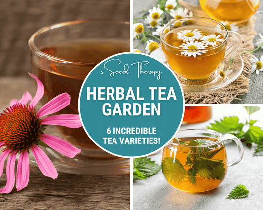 Herbal Tea Seed Collection – 6 Varieties - - Seeds