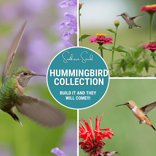 Hummingbird Garden Seed Collection – 10 Varieties - - Seeds