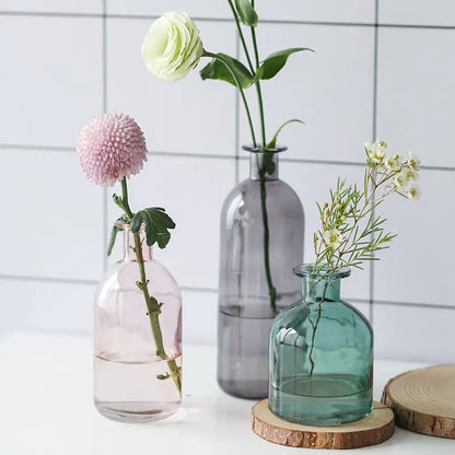 Nordic Glass Flower Vase Decor Kia Day Design