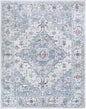 Billings Area Rug - 7'10" x 10' Rectangle - Rugs