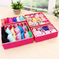 Multicolor Lingerie Storage Box Set