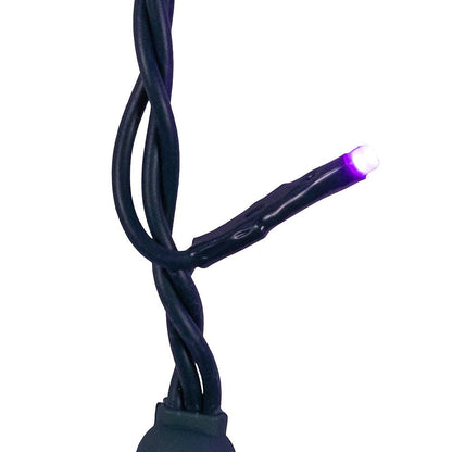 Jingle Bright 100 LED Light Set - Purple - Green Wire - - Christmas >> Lighting