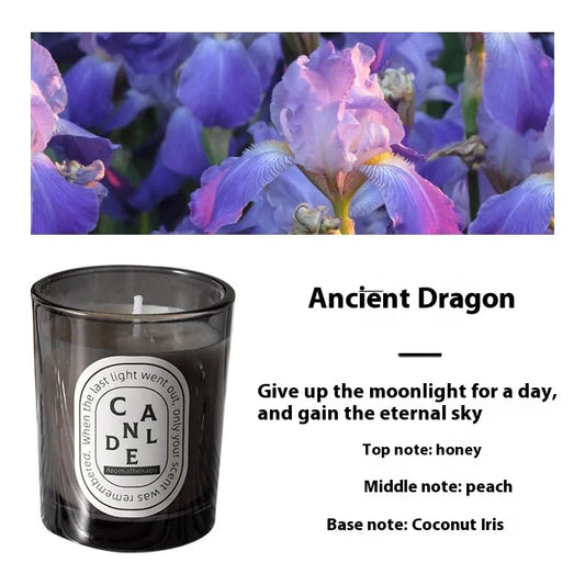 Aromatherapy Colored Glass Candles - Cologne Fragrance Gray - candle