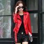 New Haining Genuine Leather Women's Jacket
