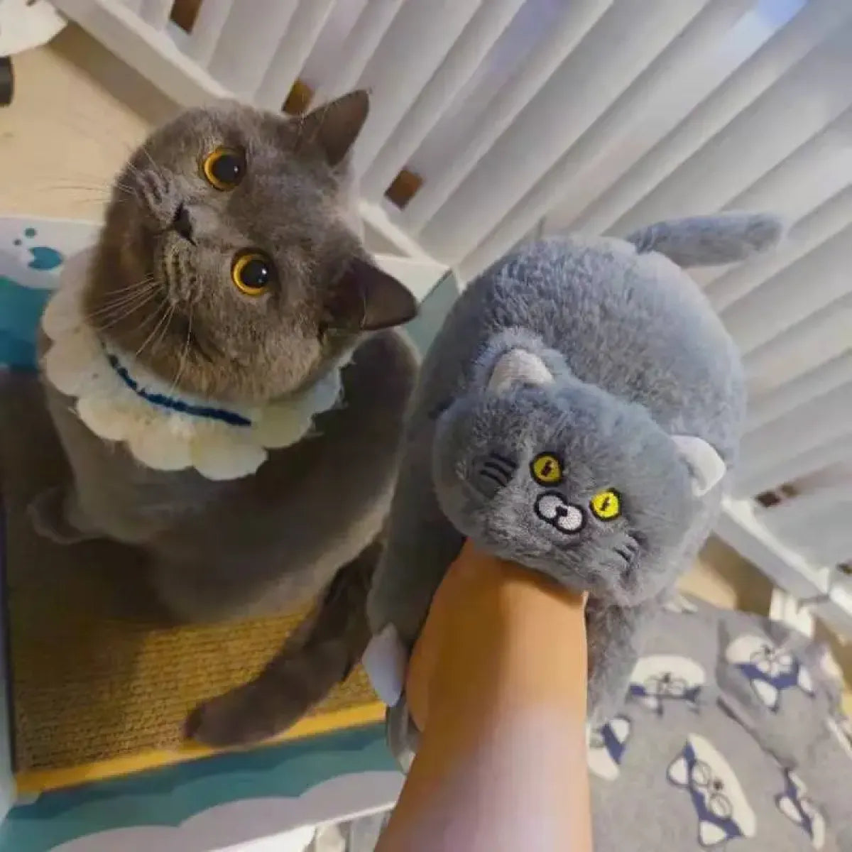 Kawaii Cat Winter Slippers for Women & Men - -