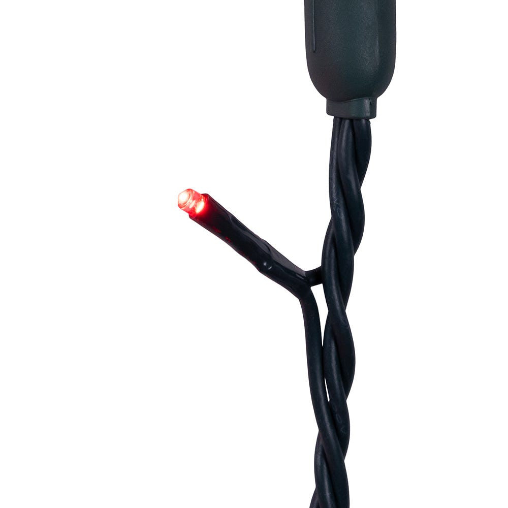 Jingle Bright 100 LED Light Set - Red - - Christmas >> Lighting