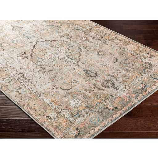 Brown Standon Vintage Washable Area Rug - - Rugs