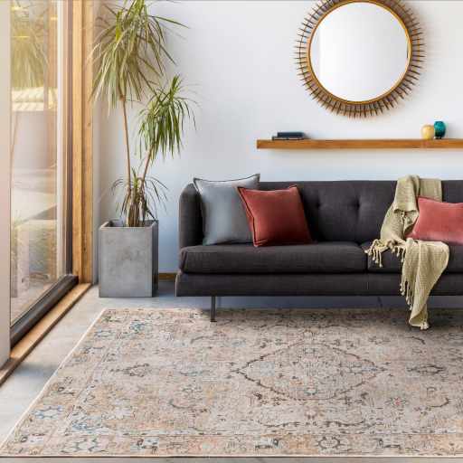 Brown Standon Vintage Washable Area Rug - - Rugs