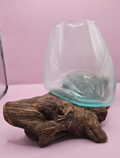 Small/Medium Teak Root Driftwood and Molten Glass Terrarium- Single Globe - -