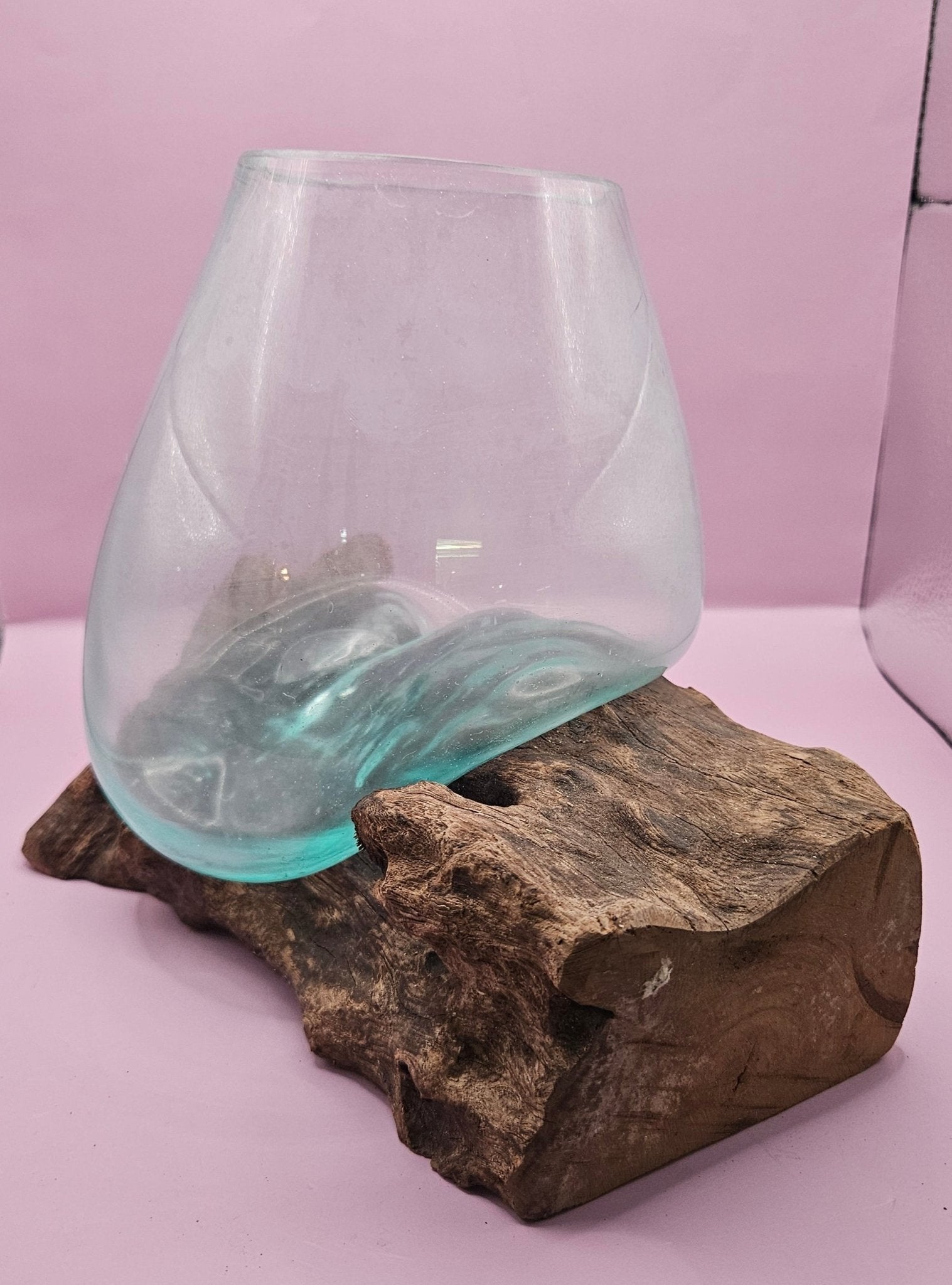 Small/Medium Teak Root Driftwood and Molten Glass Terrarium- Single Globe - -