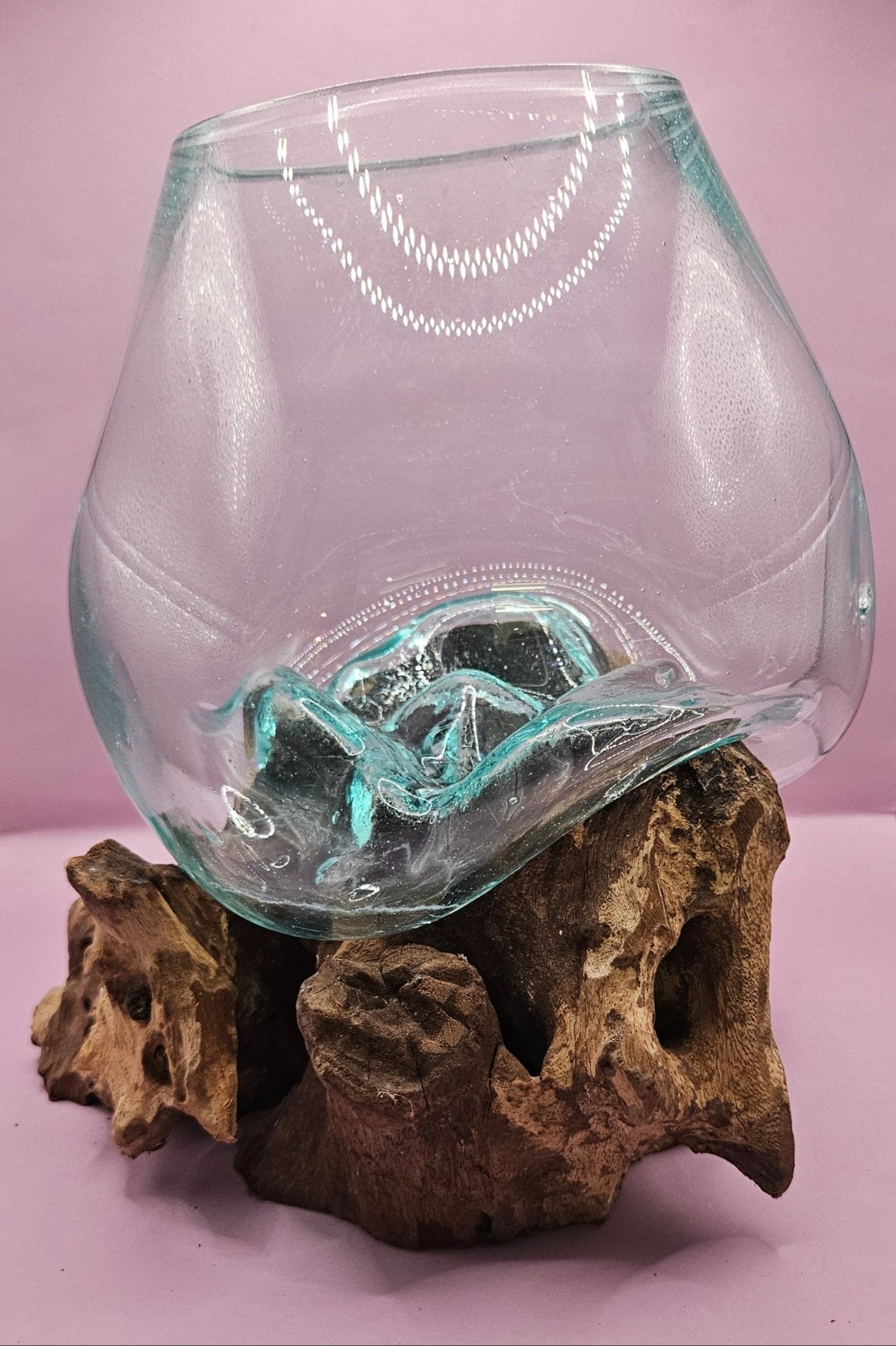Small/Medium Teak Root Driftwood and Molten Glass Terrarium- Single Globe - -