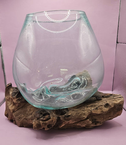 Small/Medium Teak Root Driftwood and Molten Glass Terrarium- Single Globe - -