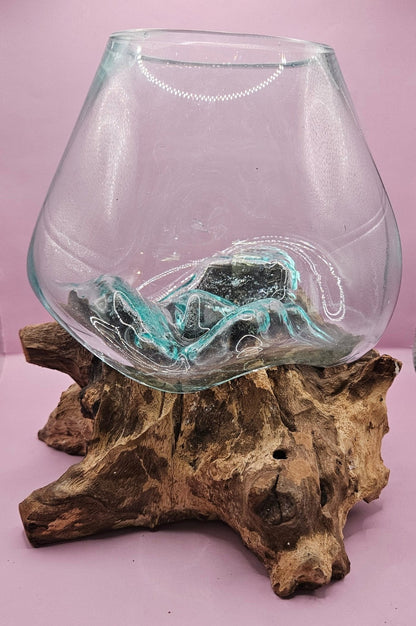 Small/Medium Teak Root Driftwood and Molten Glass Terrarium- Single Globe - -