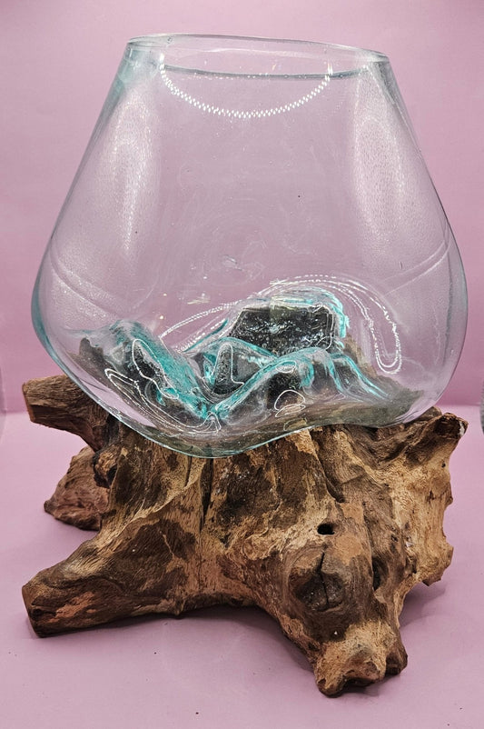Small/Medium Teak Root Driftwood and Molten Glass Terrarium- Single Globe - -