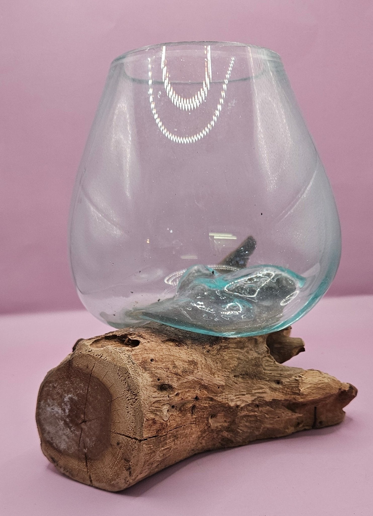 Small/Medium Teak Root Driftwood and Molten Glass Terrarium- Single Globe - -
