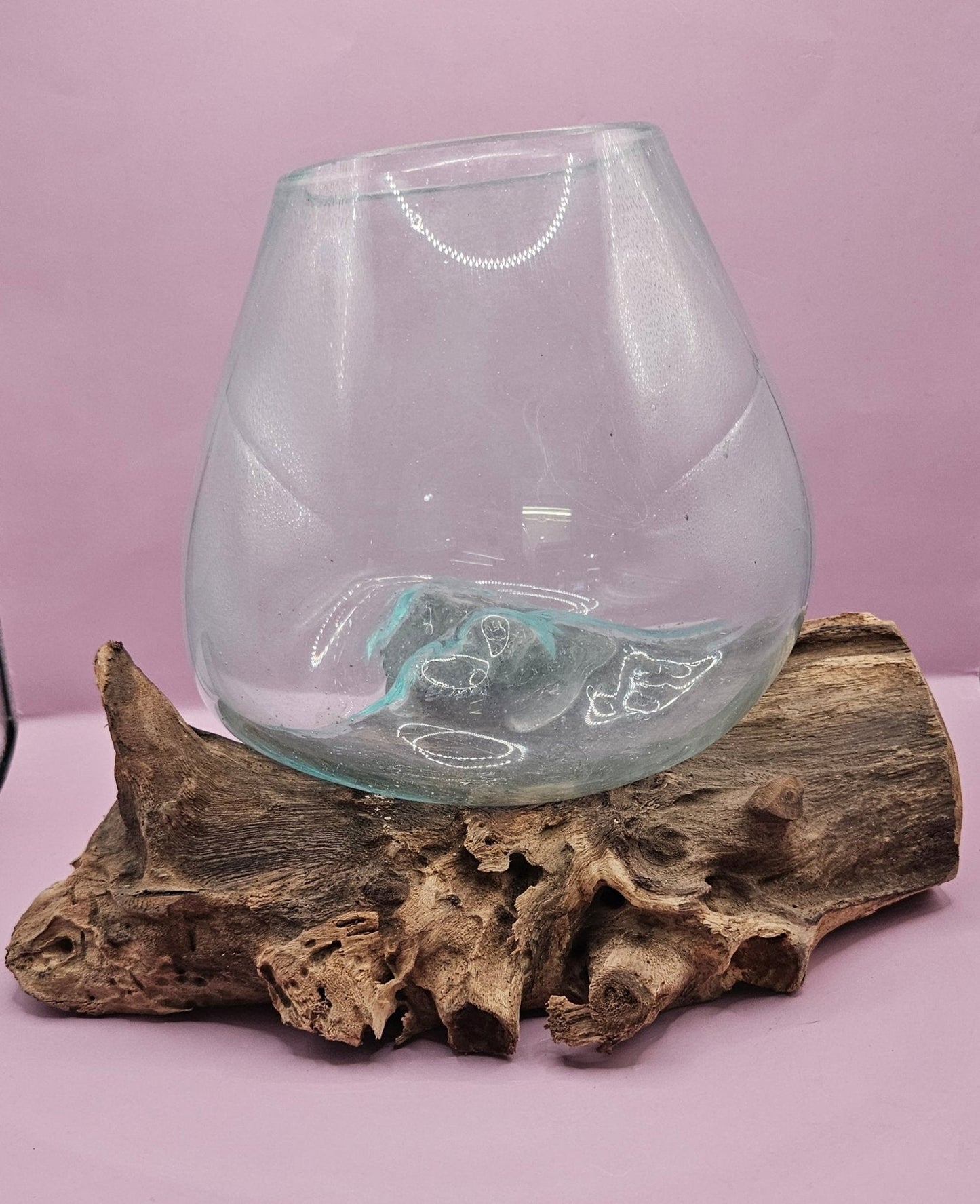 Small/Medium Teak Root Driftwood and Molten Glass Terrarium- Single Globe - -