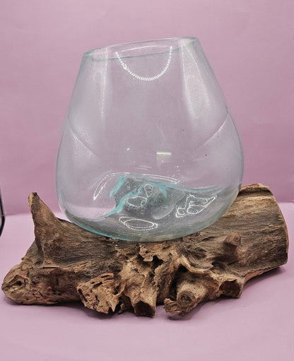 Small/Medium Teak Root Driftwood and Molten Glass Terrarium- Single Globe - -