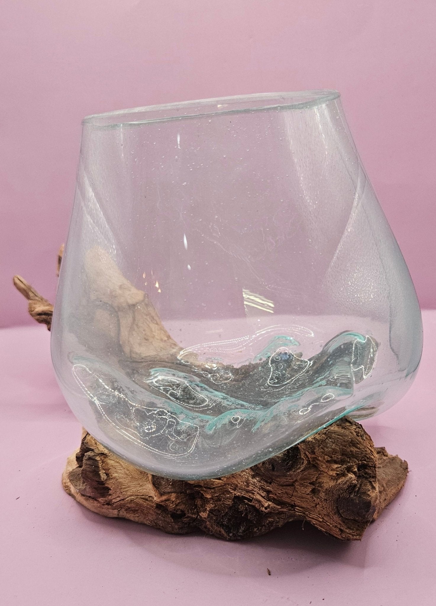 Small/Medium Teak Root Driftwood and Molten Glass Terrarium- Single Globe - -