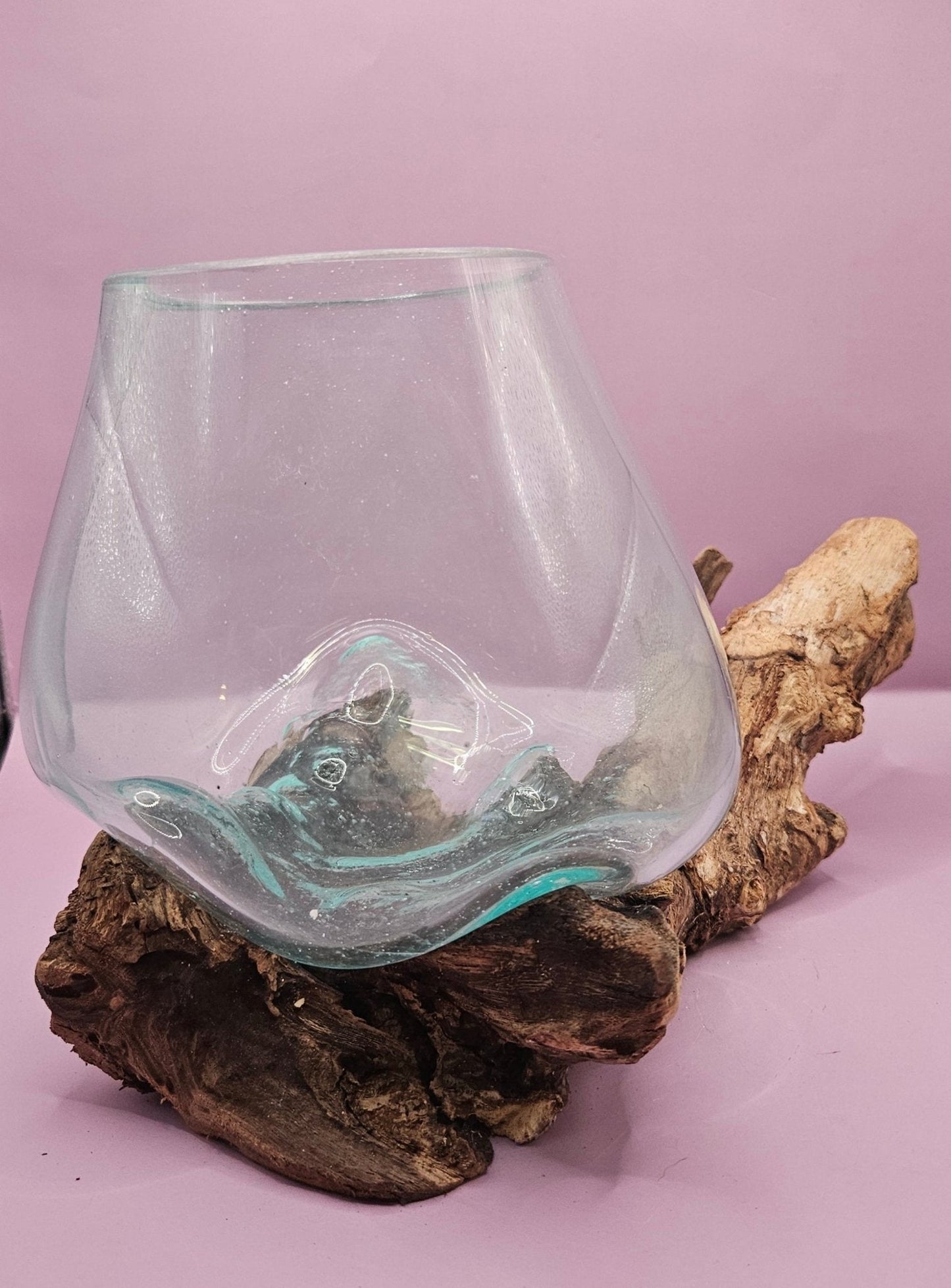 Small/Medium Teak Root Driftwood and Molten Glass Terrarium- Single Globe - -