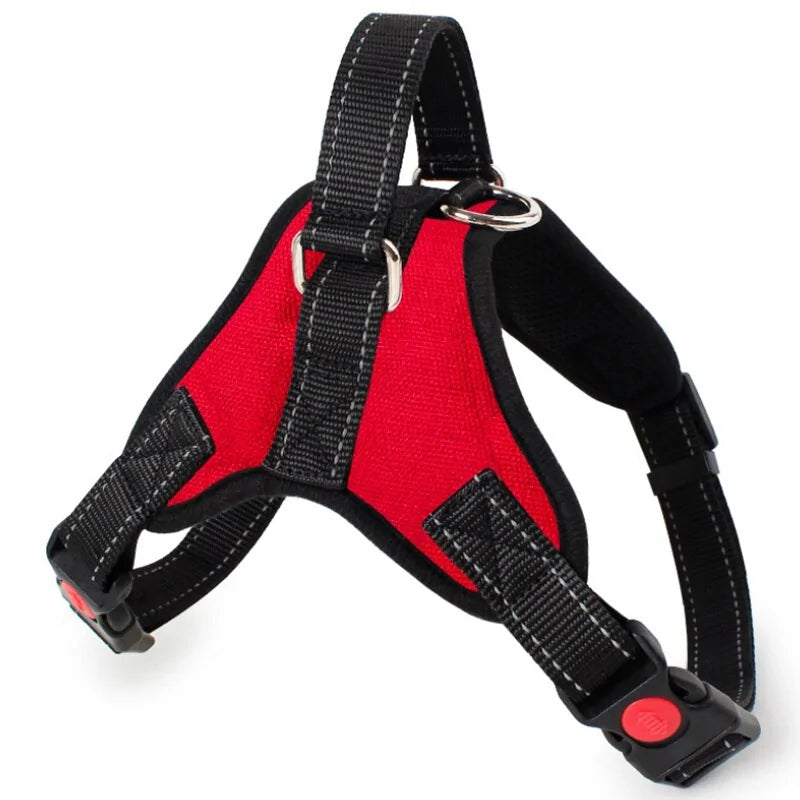 Adjustable Reflective Pet Harness Kia Day Design