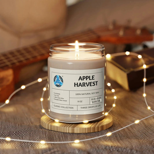 Apple Scented Soy Candle 9oz - Kia Day Design