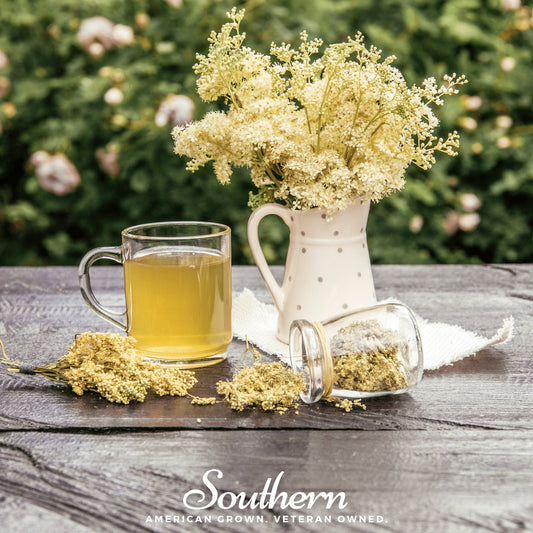 Meadowsweet – 50 Seeds - - Seeds