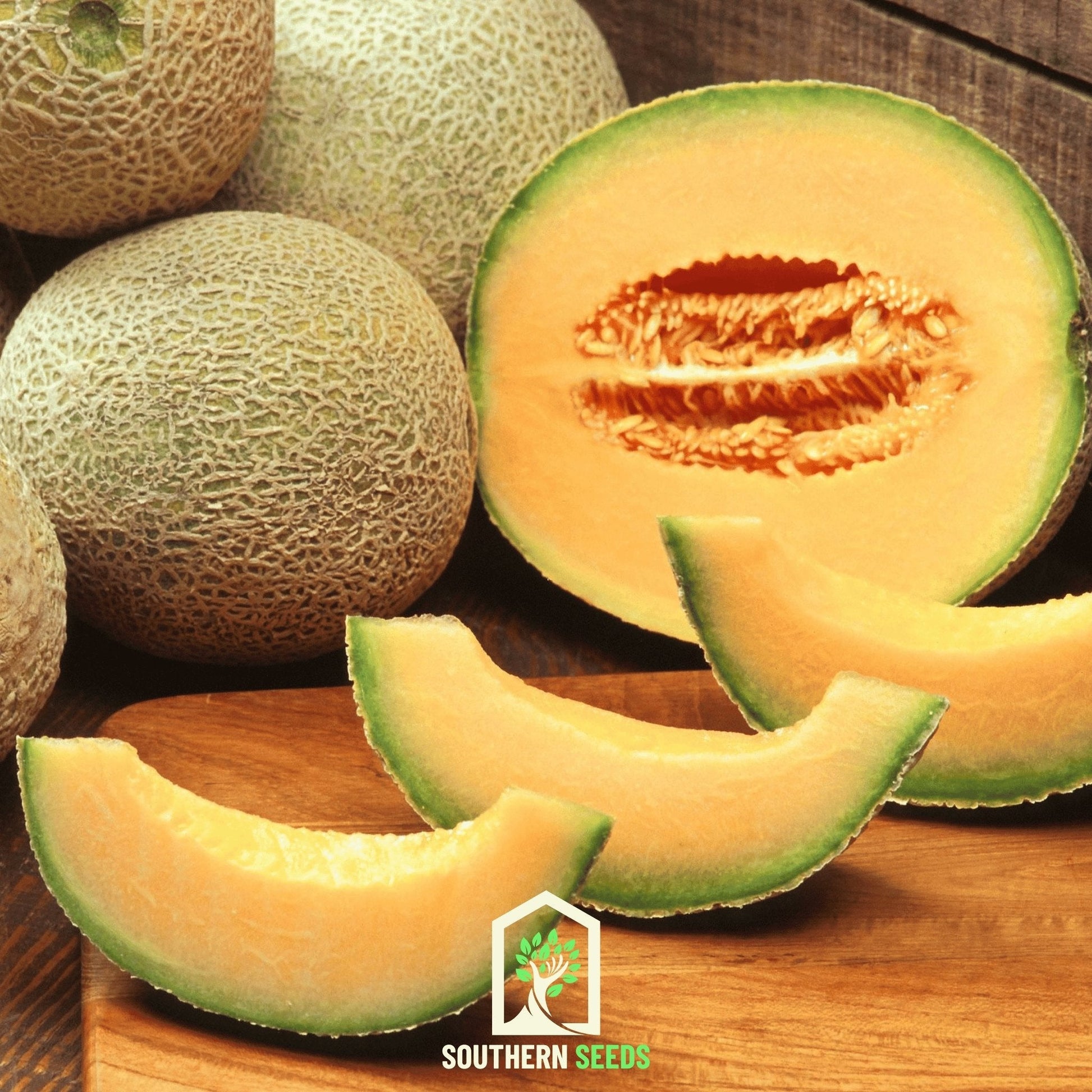 Melon Seed Collection Watermelon Cantaloupe Honeydew - - Seeds