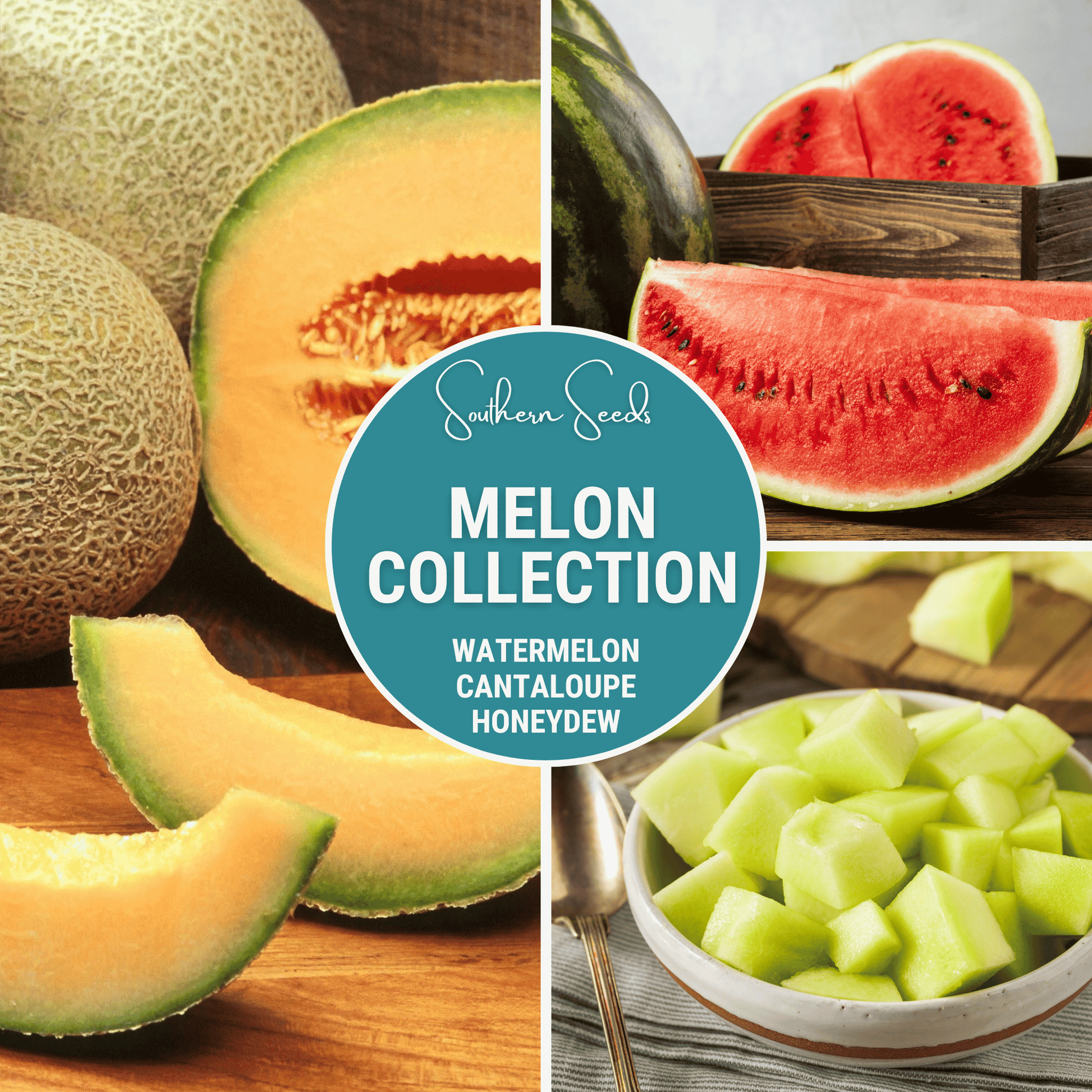 Melon Seed Collection Watermelon Cantaloupe Honeydew - - Seeds