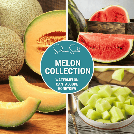 Melon Seed Collection Watermelon Cantaloupe Honeydew - - Seeds