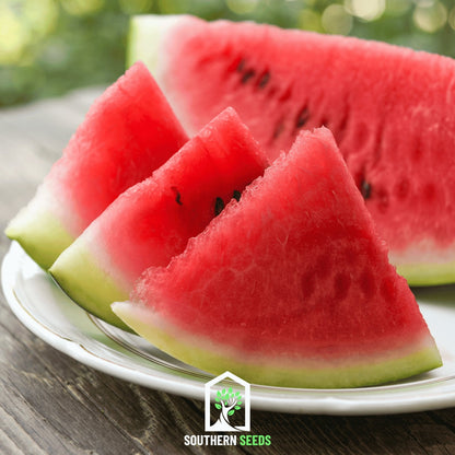 Melon Seed Collection Watermelon Cantaloupe Honeydew - - Seeds