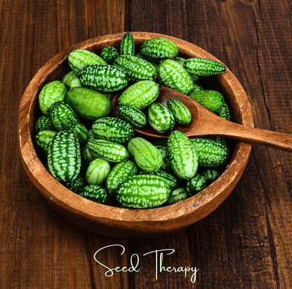 Mouse Melon – 10 Seeds - - Seeds