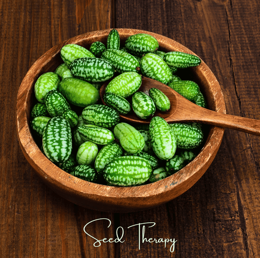 Mouse Melon – 10 Seeds - - Seeds